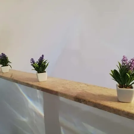 La Deliziosa Appartement *